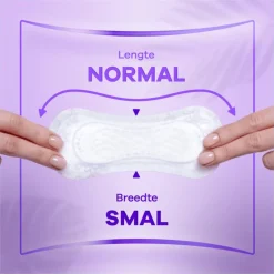 Best Always Daily Fresh Normal Fresh Scent Big Pack