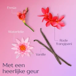 Online Andrélon Levendige Kleur Crème Masker Jar 300 ML