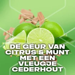 Hot AXE Green Mojito & Cedarwood 3-in-1 Douchegel 250 ML