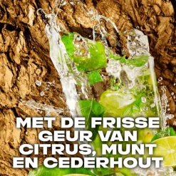 Hot AXE Mojito & Cedarwood Deodorant Bodyspray 150 ML