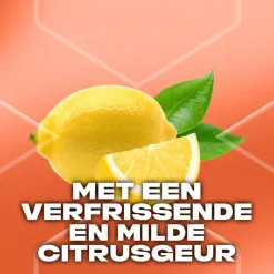 AXE Sunset Fresh Showergel 250 ML