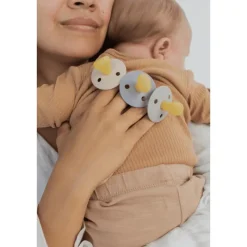 Best Bibs Anatomische Glow in the Dark Fopspeen 2 Pack Natuurlijk Rubber Sage/Rubber Maat 2