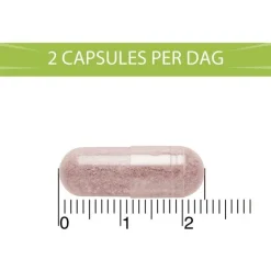 Outlet BlaseBerry 100 capsules