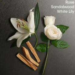 Discount Calvin Klein Eternity eau de parfum for Her 30 ML