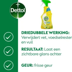 Online Dettol Spray Citrus 500 ML