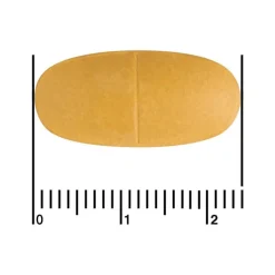 Outlet Etos Premium Multi Energie 60 stuks