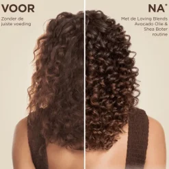 Clearance Garnier Loving Blends Avocado Olie & Karité boter Conditioner 250 ML