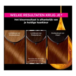 Hot Garnier Olia Permanente Haarverf 5.3 Licht Goudbruin