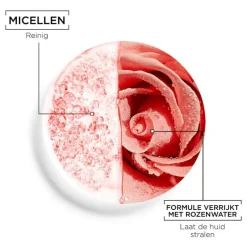 Best Garnier SkinActive Micellair Reinigingswater met Rozenwater 400 ML