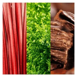 Discount Joop! Go eau de toilette 100 ML