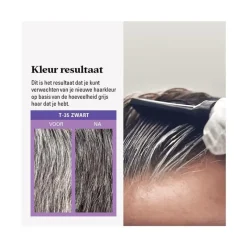 Hot Just For Men Touch of Grey T35