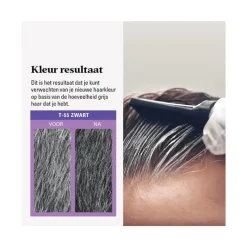 Discount Just For Men Touch of Grey T55