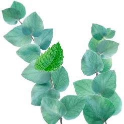 Outlet Kneipp Refreshing Badolie 100 ML