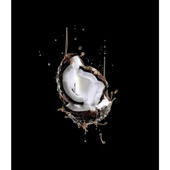 New L'Oréal Paris Elvive Extraordinary Oil Rapid Reviver Deep Conditioner 200 ML