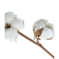 Clearance NIVEA Classic Care Milde Shampoo 250ml