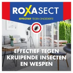 Best Roxasect Spuitbus Kruipende Insecten en Wespen 400 ML