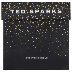 Hot Ted Sparks Demi Candle Cinnamon & Spice