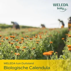 Clearance Weleda Baby Calendula Verzorgende Olie