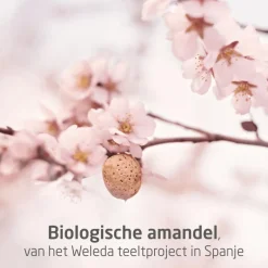 New Weleda Mama Perineum Massage Olie